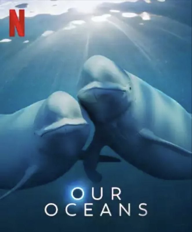 我们的海洋 Our Oceans (2024)