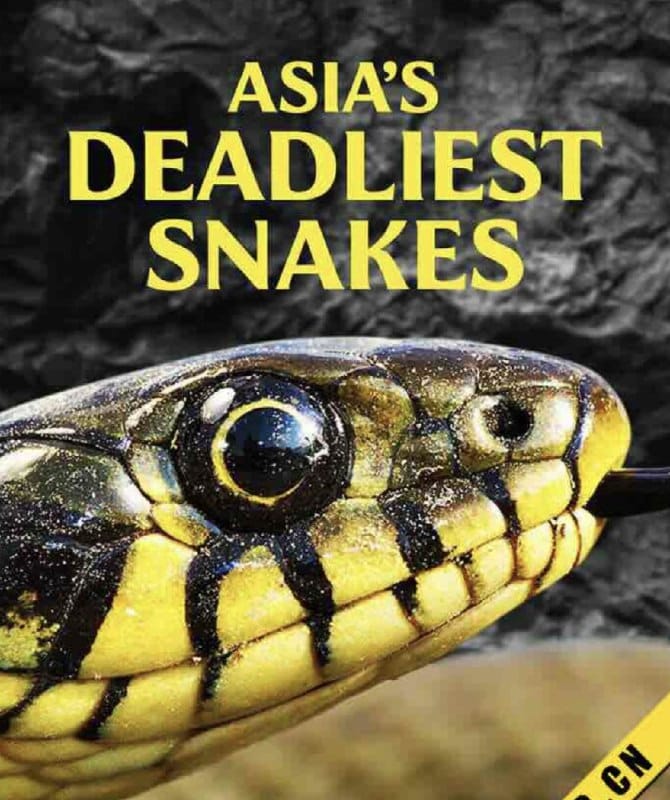 Asia’s Deadliest Snakes (2011)