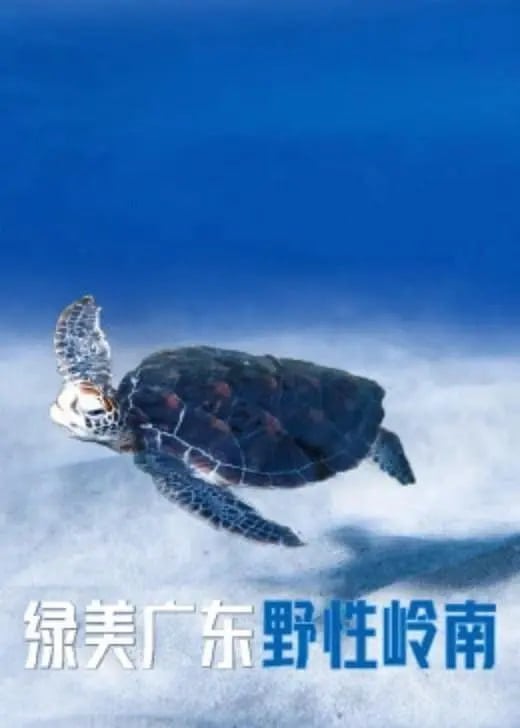 绿美广东·野性岭南 (2023)