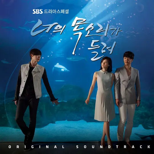 听见你的声音 너의 목소리가 들려 (2013)
